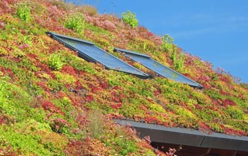 Suledale living roof systems